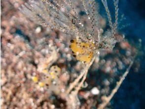 プランの魅力  の画像