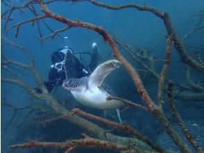 プランの魅力  の画像