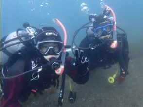 プランの魅力  の画像