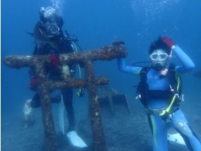 プランの魅力  の画像