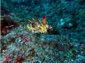 プランの魅力  の画像