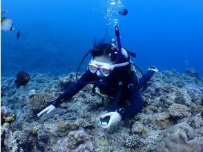 プランの魅力 写真・動画無料プレゼント♪ の画像