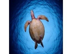 プランの魅力 ライセンス取得後も安心! の画像