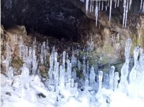 プランの魅力 氷のタケノコ の画像