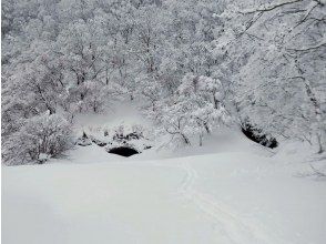 プランの魅力 雪に覆われた廃トンネル の画像