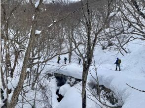 プランの魅力 雪景色の歴史街道を歩く の画像