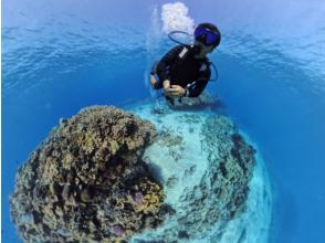 プランの魅力 写真・動画プレゼント！ の画像
