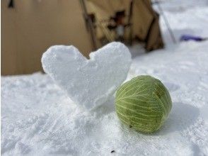 プランの魅力 雪の下キャベツの掘り起こし の画像