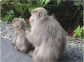 プランの魅力 Heartwarming scenery of parents and children の画像