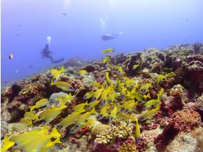 プランの魅力 リゾートの海は綺麗 の画像