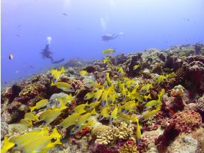 プランの魅力 リゾートの海は綺麗 の画像