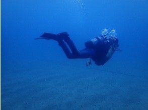 プランの魅力 中性浮力 の画像