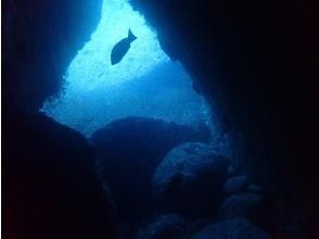 プランの魅力 綺麗な海 の画像