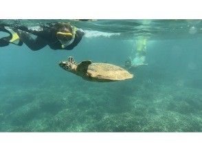 プランの魅力  の画像