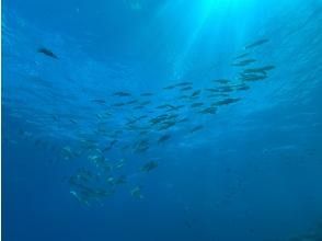 プランの魅力  の画像