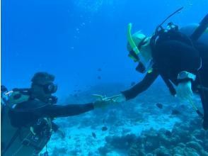 プランの魅力  の画像