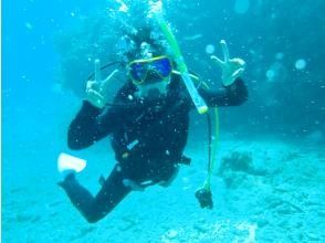 プランの魅力  の画像