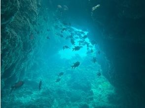 プランの魅力  の画像