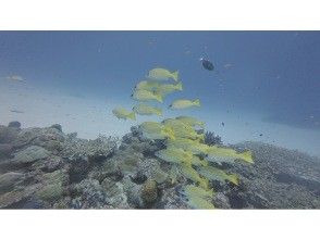 プランの魅力  の画像