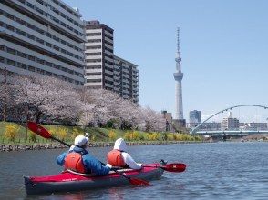 プランの魅力 桜とスカイツリー の画像