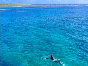 プランの魅力 世界屈指の透明度を体感！ の画像