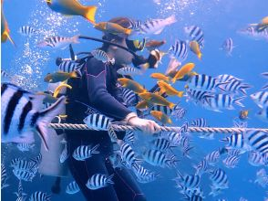 プランの魅力 大興奮の餌付け体験！ の画像