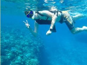 プランの魅力  の画像