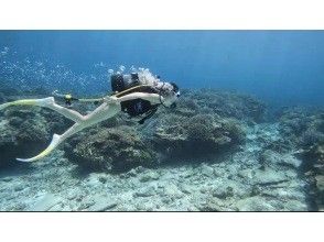 プランの魅力  の画像