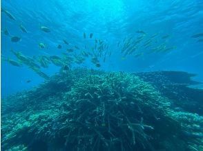 プランの魅力  の画像