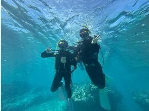 プランの魅力  の画像