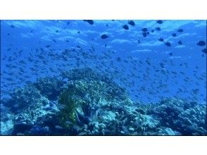 プランの魅力  の画像