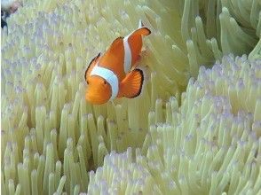 プランの魅力  の画像