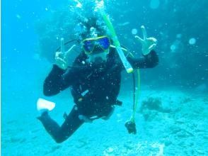 プランの魅力  の画像