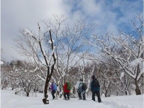 プランの魅力 凛とした空気が気持ちイイ の画像