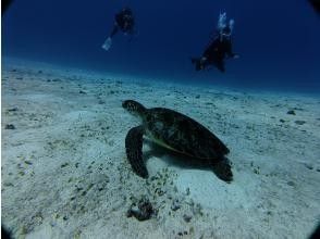 プランの魅力  の画像