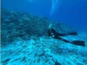 プランの魅力  の画像