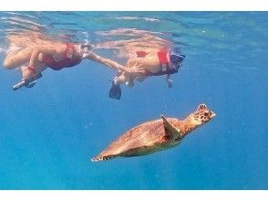 沖縄・恩納村】ウミガメシュノーケル｜高確率で遭遇｜ニモ＆サンゴ礁