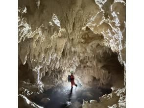 プランの魅力  の画像