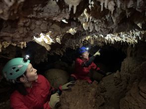 プランの魅力  の画像