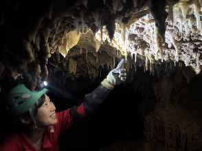 プランの魅力  の画像