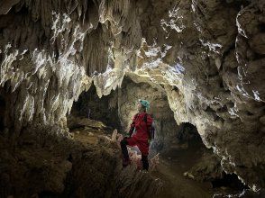 プランの魅力  の画像