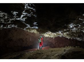 プランの魅力  の画像