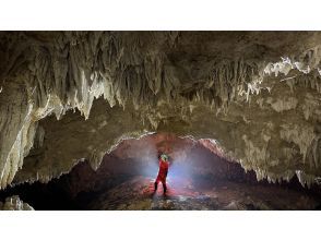 プランの魅力  の画像