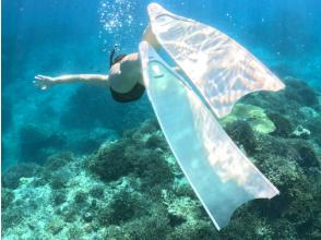 プランの魅力 ロングフィンレンタルで映え の画像