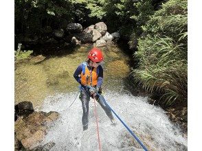 プランの魅力  の画像