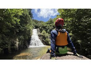 プランの魅力  の画像