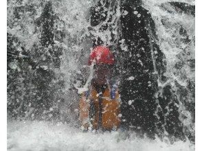 プランの魅力  の画像