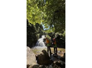 プランの魅力  の画像