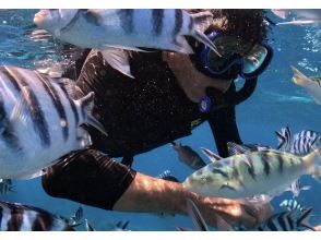 プランの魅力 大興奮の餌付け体験！ の画像