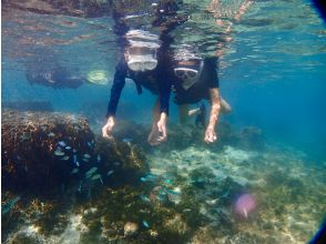プランの魅力 大興奮の餌付け体験！ の画像